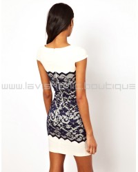 Lace Overlay Bodycon Dress